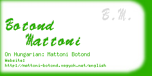 botond mattoni business card